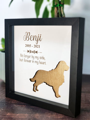 Pet Memorial Shadow Box